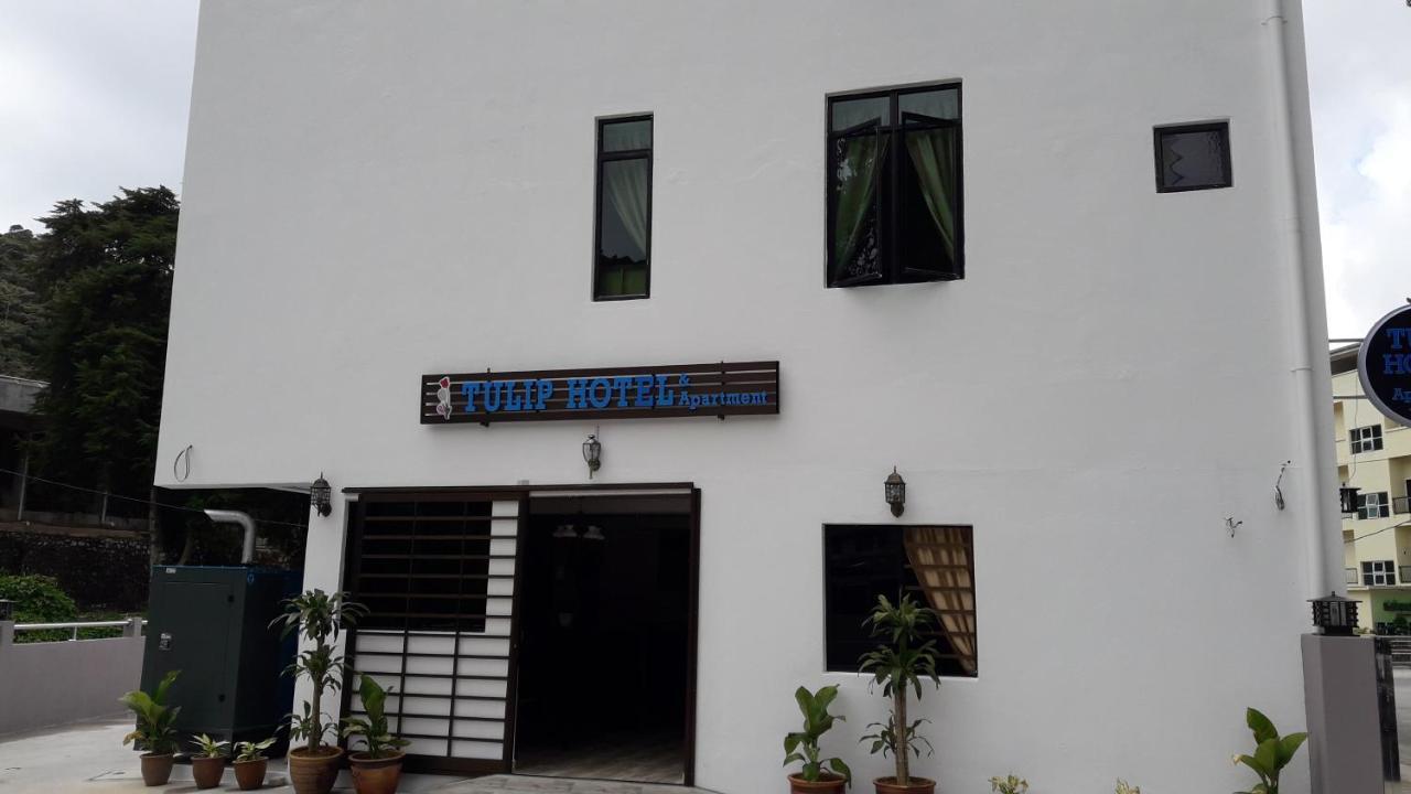 Tulip Hotel & Apartment Cameron Highlands Exterior photo